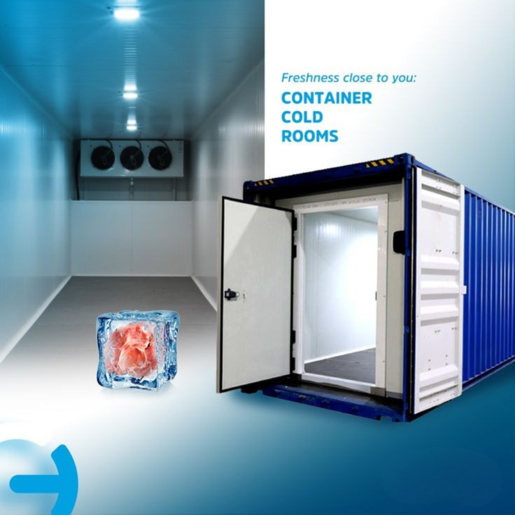 portable cold storage container
